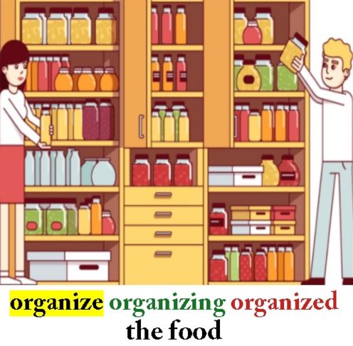 Organize2